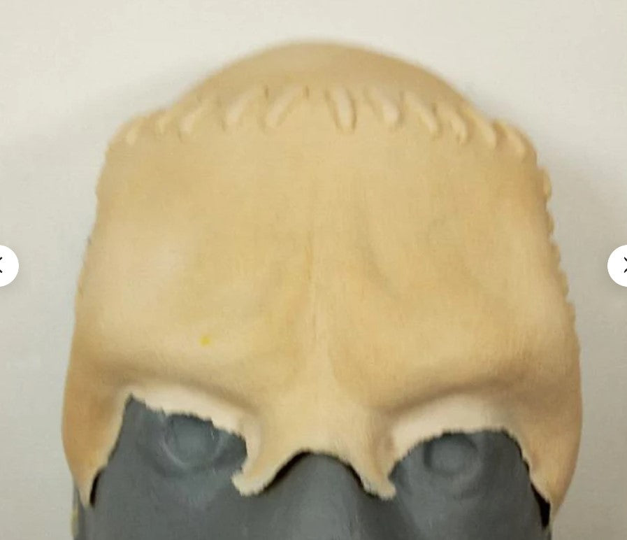 Young Frankenstein Foam Latex Prosthetic Forehead/Brow