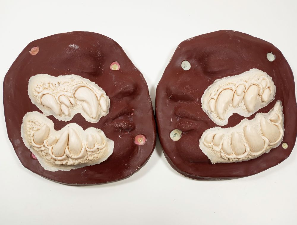 Mileena Deluxe Mortal Kombat Inspired Fang Cheeks Foam Latex Prosthetics