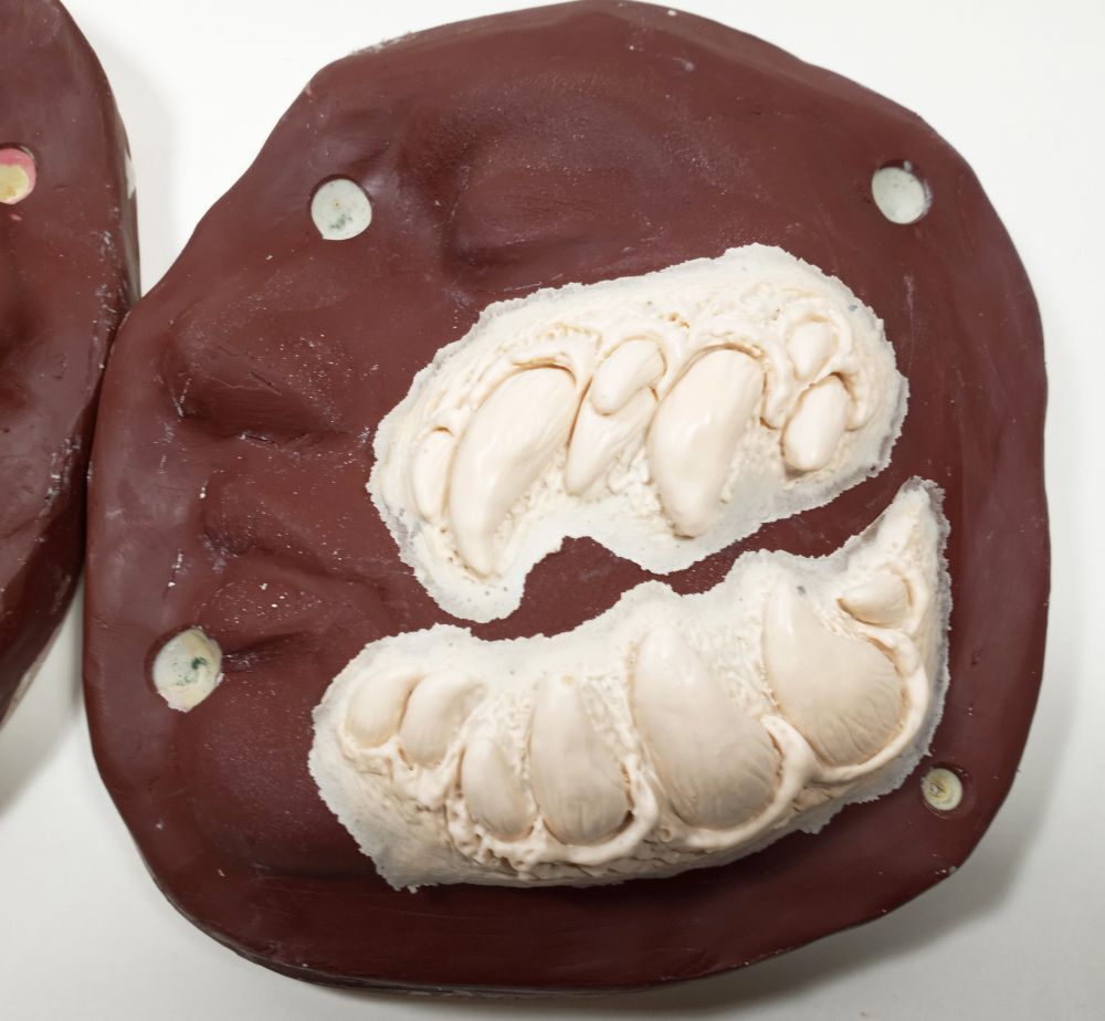 Mileena Deluxe Mortal Kombat Inspired Fang Cheeks Foam Latex Prosthetics