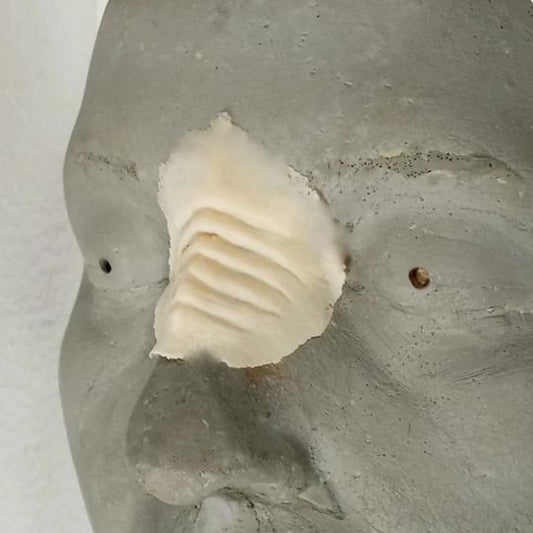 Bajoran Nose Ridge