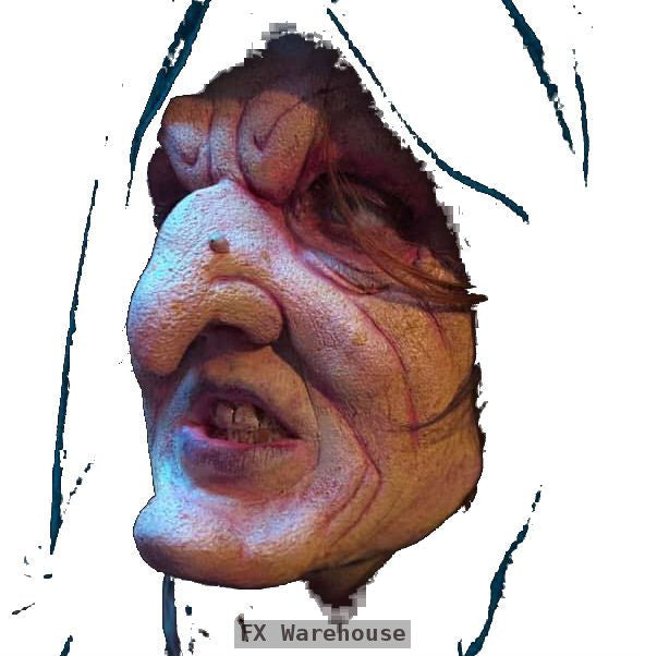 Swamp Witch Foam Latex Prosthetic - MWA