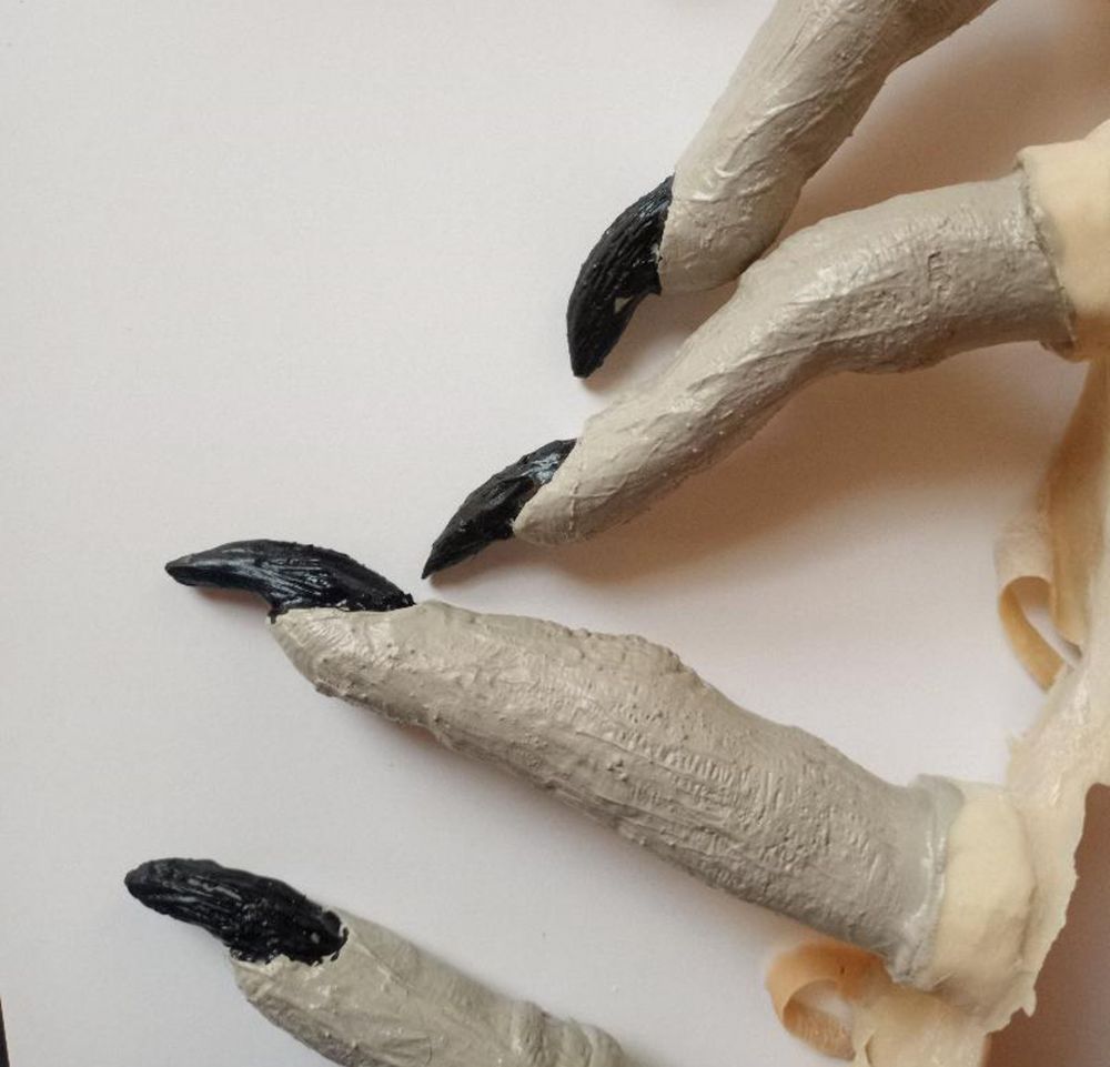 Finger Extensions - latex